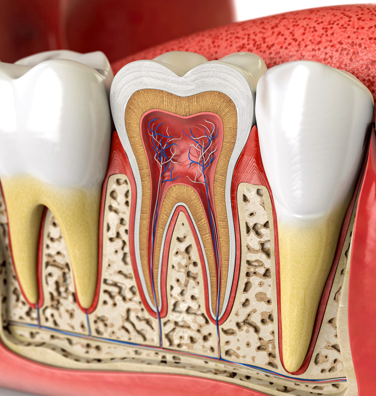 Root Canal Treatment in Dallas, TX, Floss Dental Dallas
